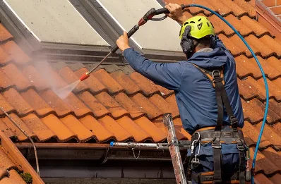 Démoussage et hydrofuge de toiture à Igny